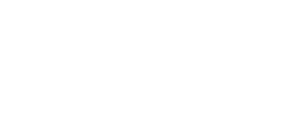 IMER-WHITE.png