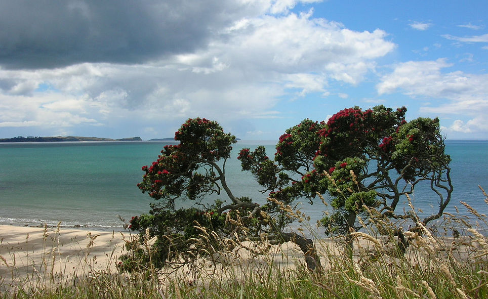 Granny's bay copy.JPG