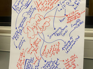 Harm Online, Harms Offline