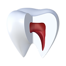 dentista genova