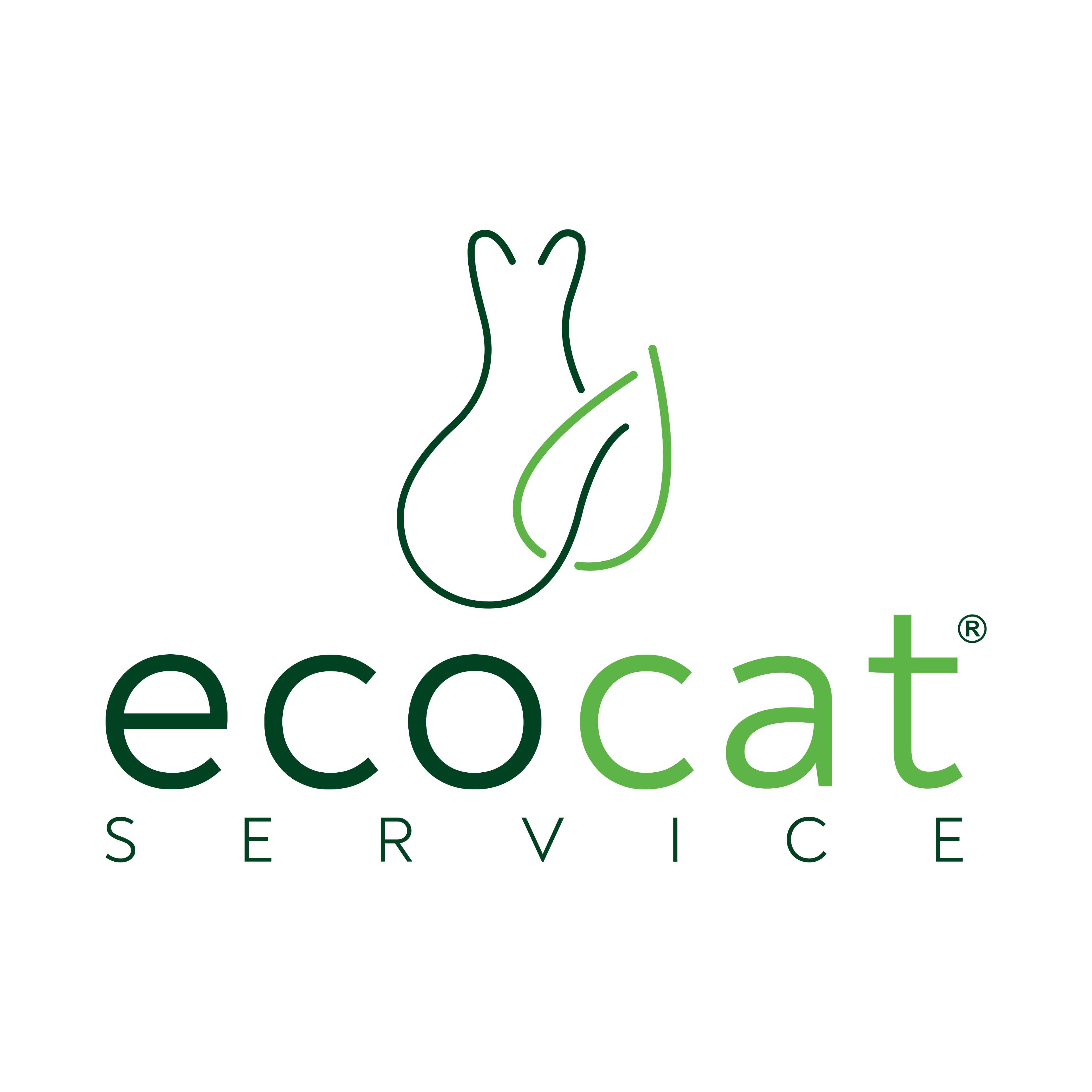 Immagine del redattore: EcoCat Service