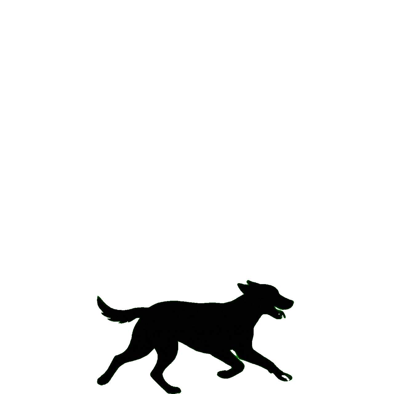 Progetto senza titolo.gif