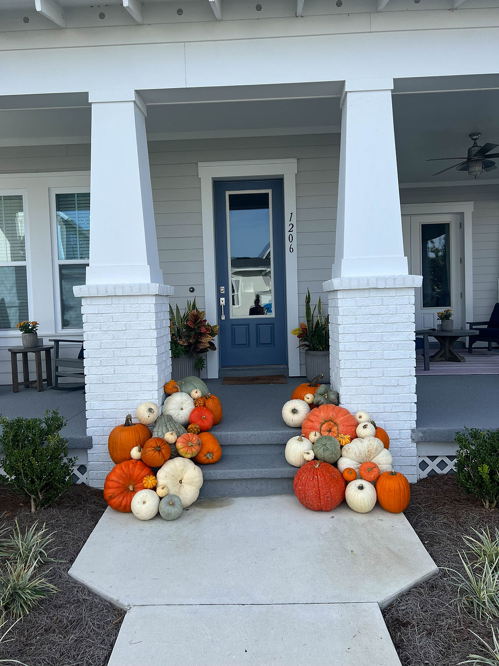 pumpkinscape #4