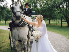 Branden and Tonya’s Fairytale Wedding at Kurtz Orchard