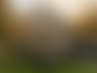 Custom composite deck with built-in bench seating and pergola on Ontario home, Fergus