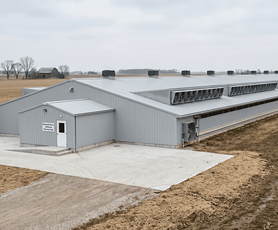 Swine barn pig facility construction Ontario LUMA Building Group