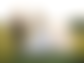 Whistle Bear Golf Club: More Than Just a Golf Club Wedding