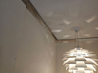 Another Busy Week Across Sydney: 8 Mould Projects Completed This Week