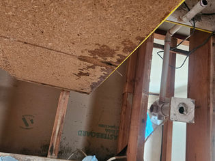 Bathroom Waterproofing Failure in Parramatta Leads to Major Water Damage and Mould Remediation