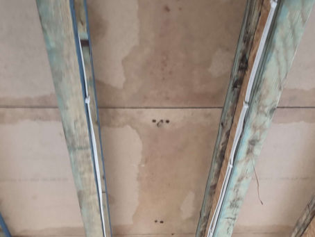 Hornsby Construction Site Mould Remediation: Structural Frame Mould Removal During Build