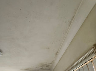 Hidden Roof Leak Causes Mould Growth in Windsor Home | AAA Mould Removal