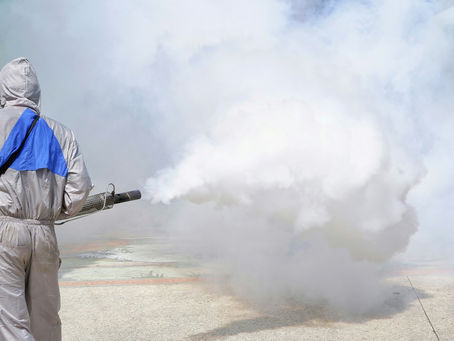 How Natural Mould Removal Really Works?