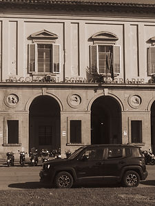 MatteoMonzali2024_Cavalli.jpg