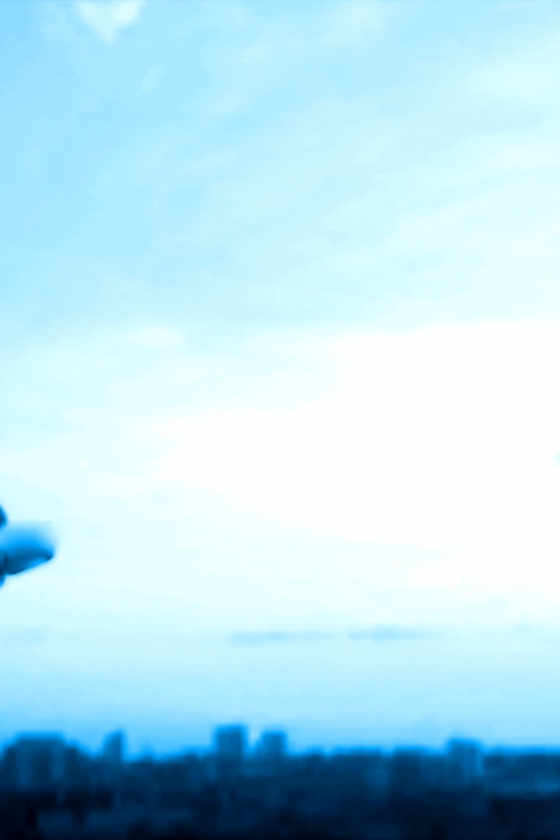  Retrato de mascotas personalizados - Retrato de perro - retrato de gato - retrato personalizado pitbull - retrato personaliz