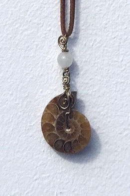Wire Wrapped Ammonite Fossil Necklace