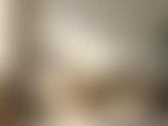 Declaração de Imposto de Renda em São José do Rio Preto