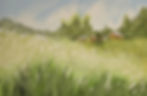 spring barnyard