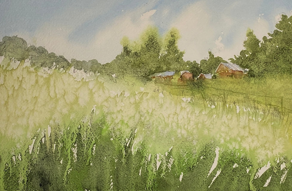spring barnyard
