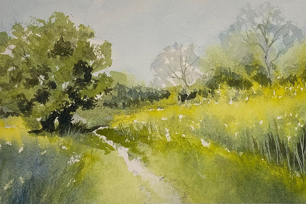 spring path