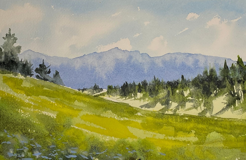 spring valley