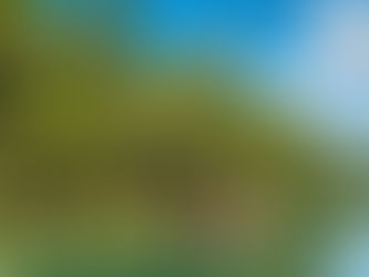 Loboc, Bohol Etymology