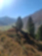 IMG20221005151207.jpg