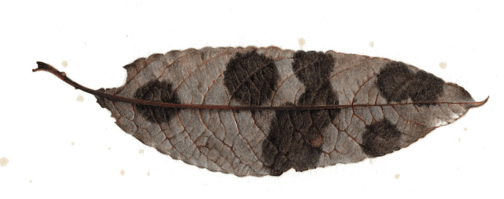 名称未設定 5.jpg