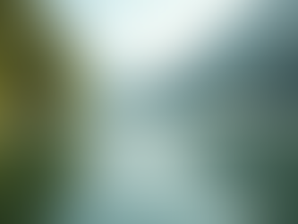 The Power of Mindfulness in Everyday Life