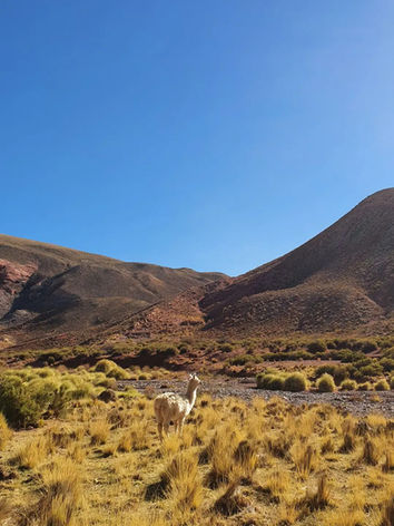 Inca_Cueva