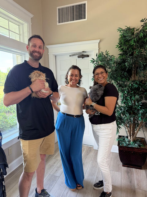 staff with therapy bunnies