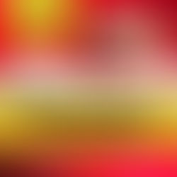 Apertura Vacanze Natalizie