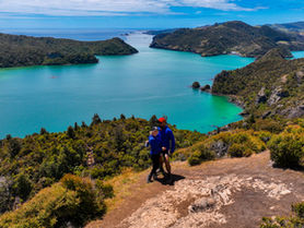 Kaiaraara Rock | Dukes Nose - Northland 