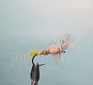Crippled BWO emerger