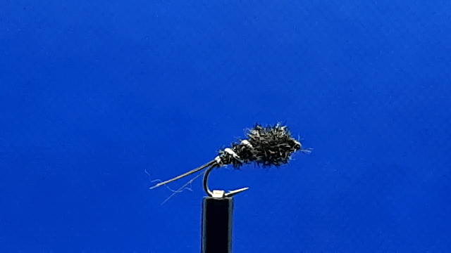 Zilver Nymph