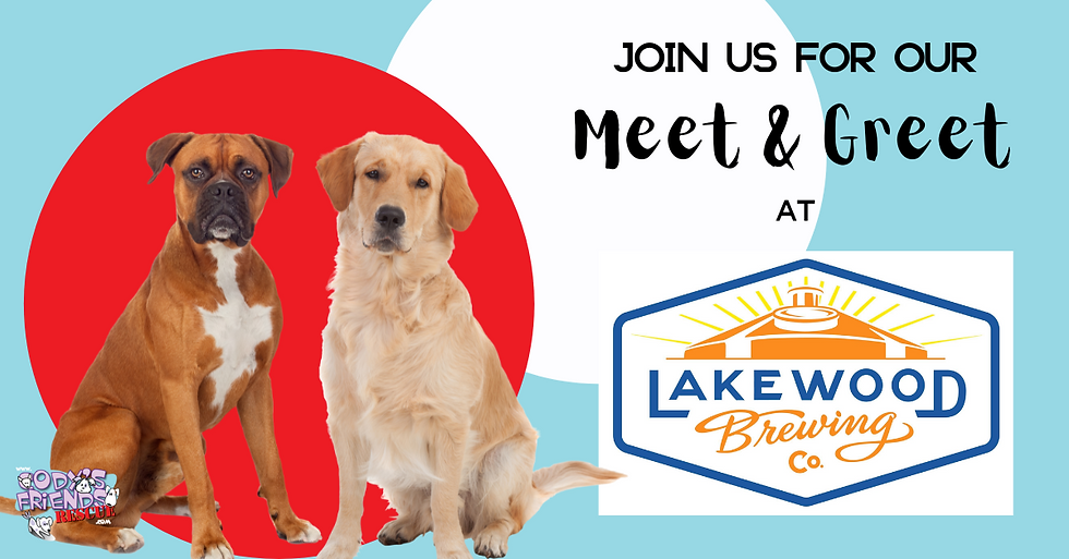 Cody's Meet-and-Greet at Lakewood Brewing Company 12 to 3 pm