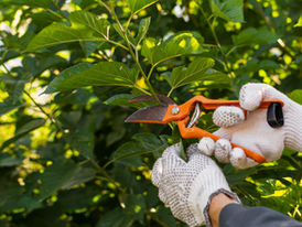 Attrezzi Manuali per il Giardinaggio
