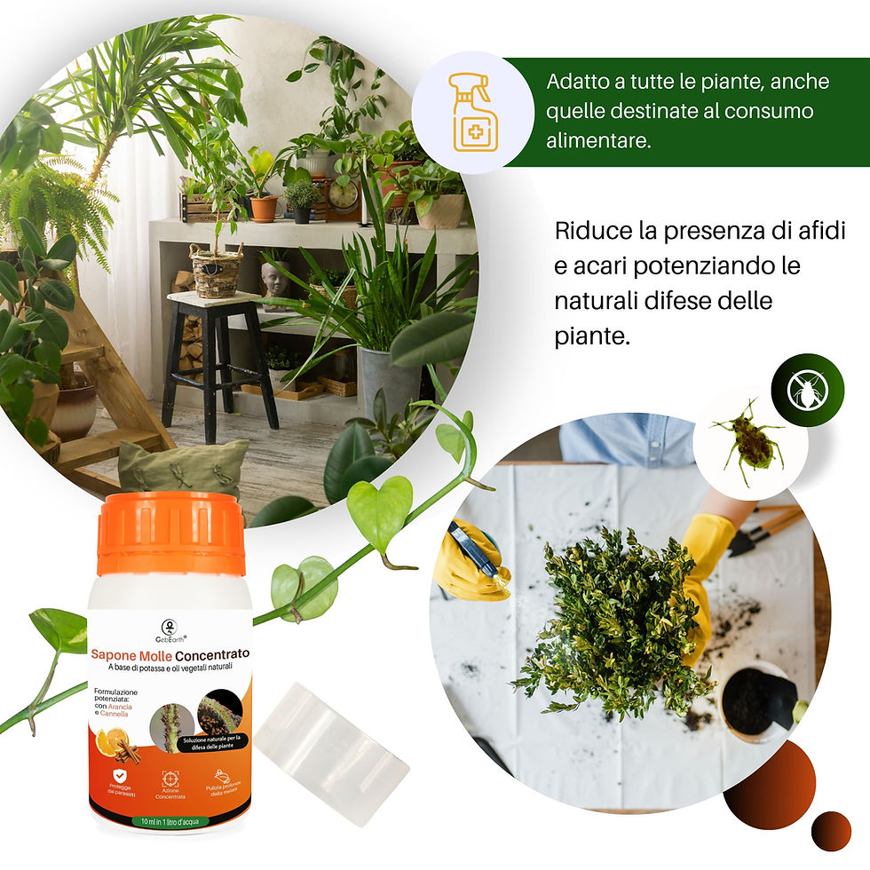 Miniatura: GebEarth®  Sapone Molle di Potassio ad alta concentrazione 200Ml