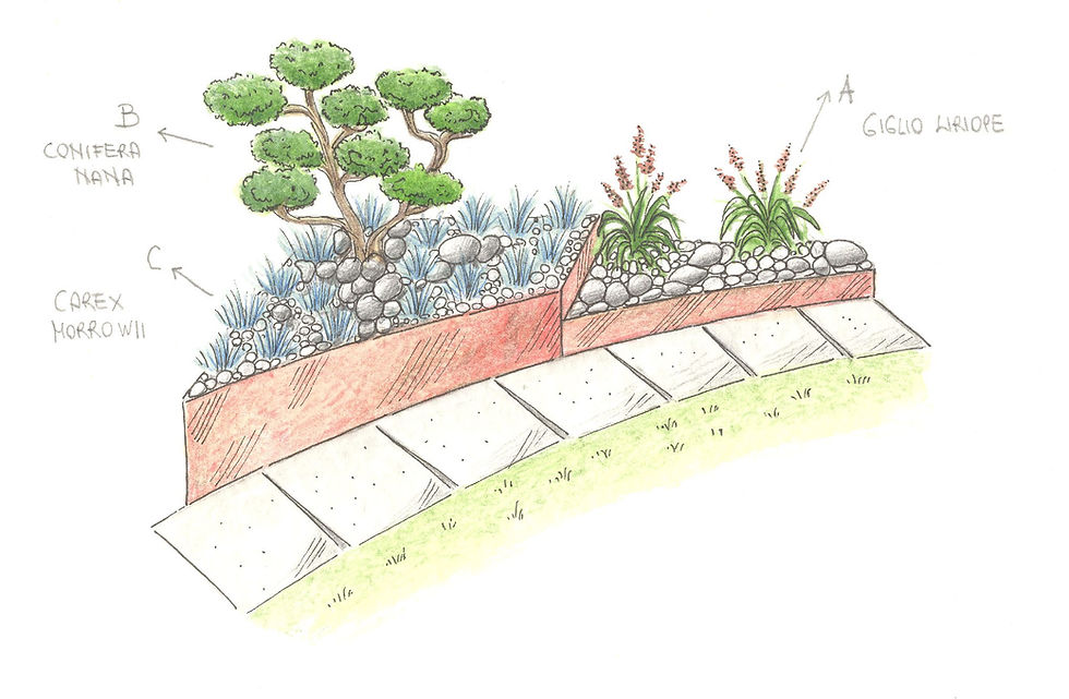 Miniatura: Progettazione di Aiuole e Piccoli Spazi Verdi