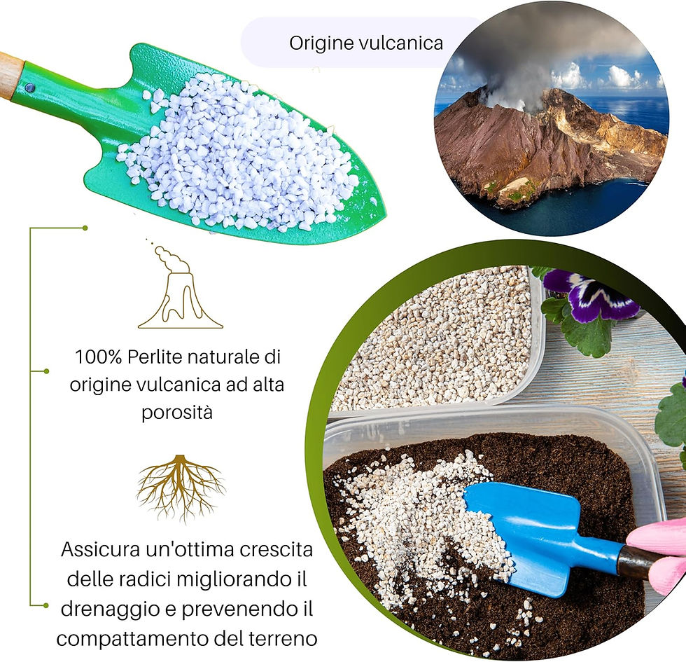 Miniatura: Perlite Vulcanica Espansa 5L GebEarth®
