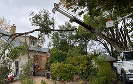 Powerline Contractor Hamilton ON