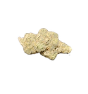1000000766_edited.png