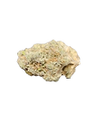 1000000760_edited.png
