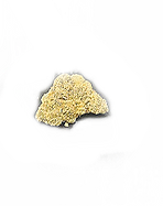 0_edited.png