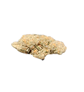 1000000762_edited.png