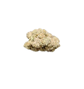 1000000768_edited.png