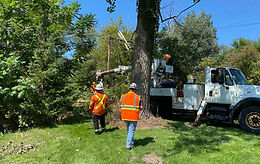 Powerline Contractor Hamilton ON