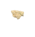 1000000770_edited.png