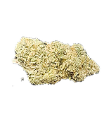 0_edited.png