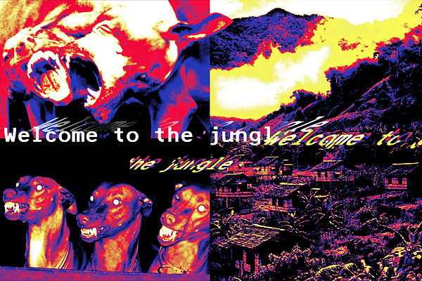 WELCOME TO THE JUNGLE