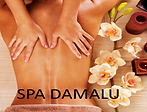 SPA DAMALU.png